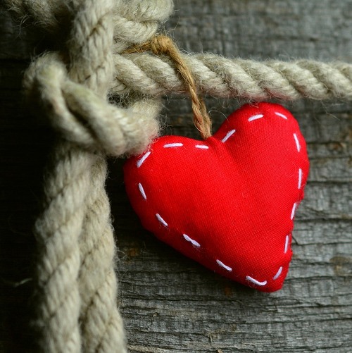 Congerdesign | Pixabay